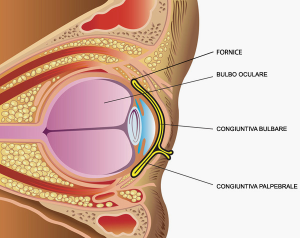 patologie della congiuntiva